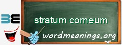 WordMeaning blackboard for stratum corneum
